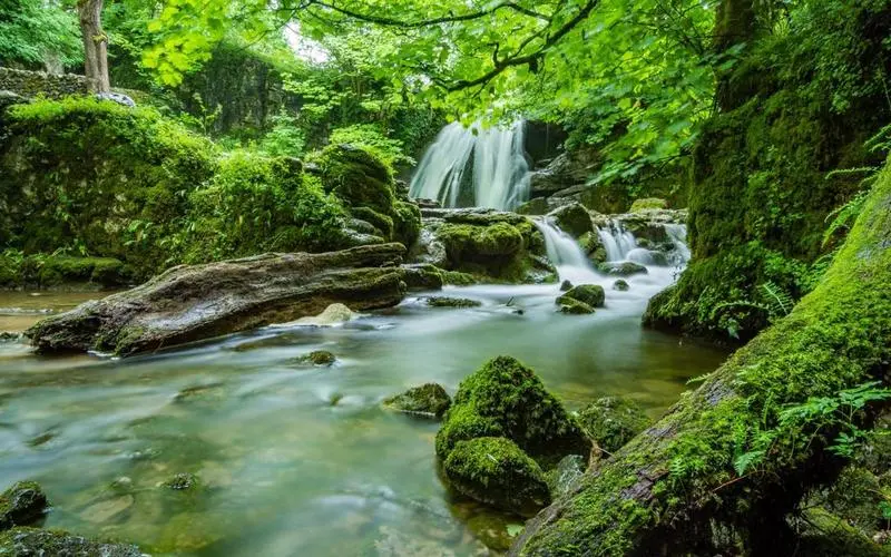 节能独特高质量